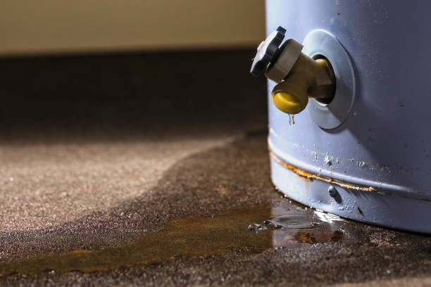 Best Ceiling water damage repair  in Hurt, VA
