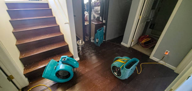 Best Flood damage cleanup  in Hurt, VA