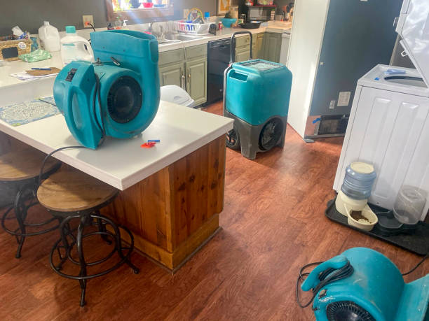 Best Professional water damage repair  in Hurt, VA