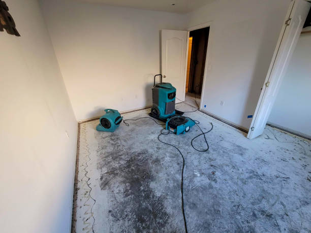 Best Water damage cleanup near me  in Hurt, VA