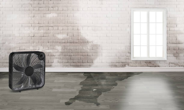 Best Flood restoration services  in Hurt, VA