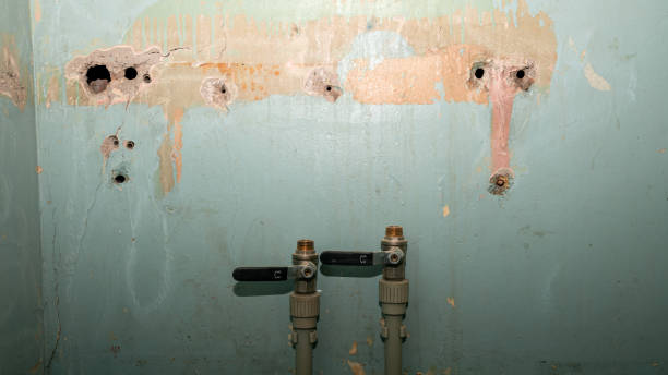 Best Flood damage cleanup  in Hurt, VA