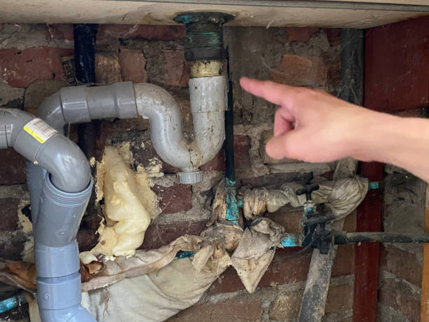 Best Basement water damage restoration  in Hurt, VA