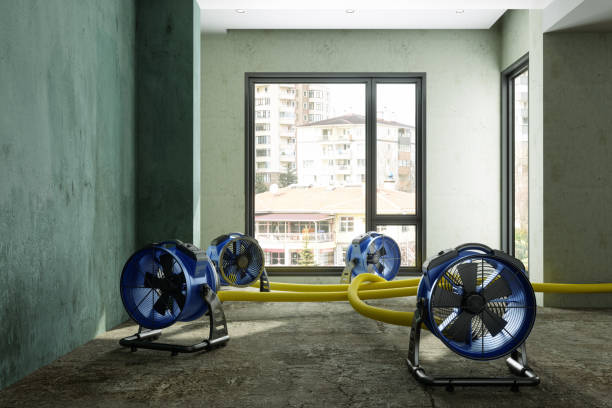 Best Fire Damage Restoration  in Hurt, VA