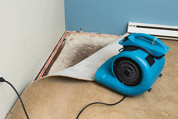 Best Water damage contractors near me  in Hurt, VA